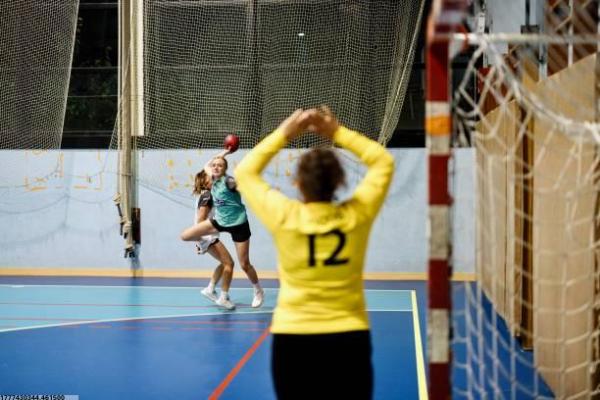 体操是否属于新兴体育项目分析(图1)